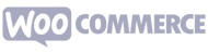 Senior Accessibility Program Manager